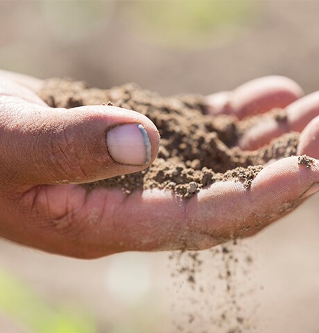 Gros plan de la main d’un agriculteur avec de la terre dans les mains