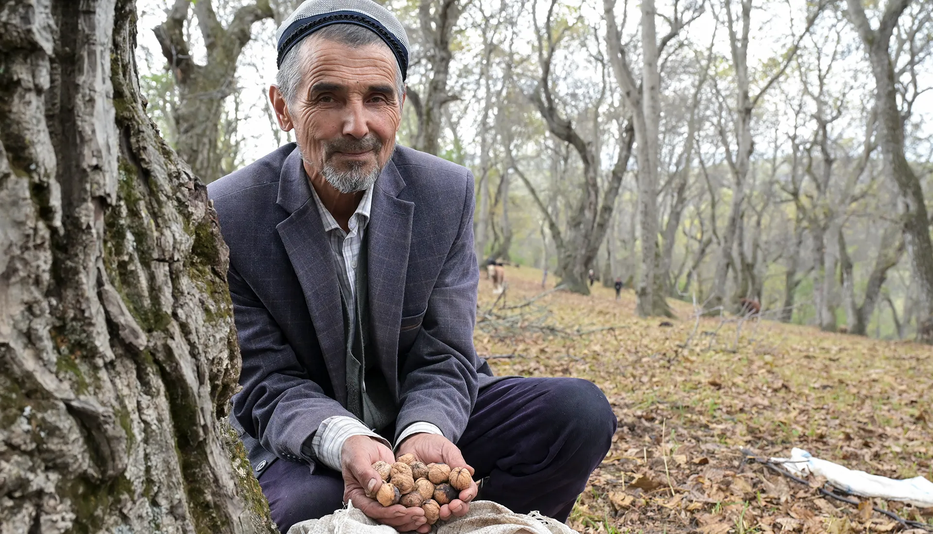 Mensch und Baum Mensch und Baum