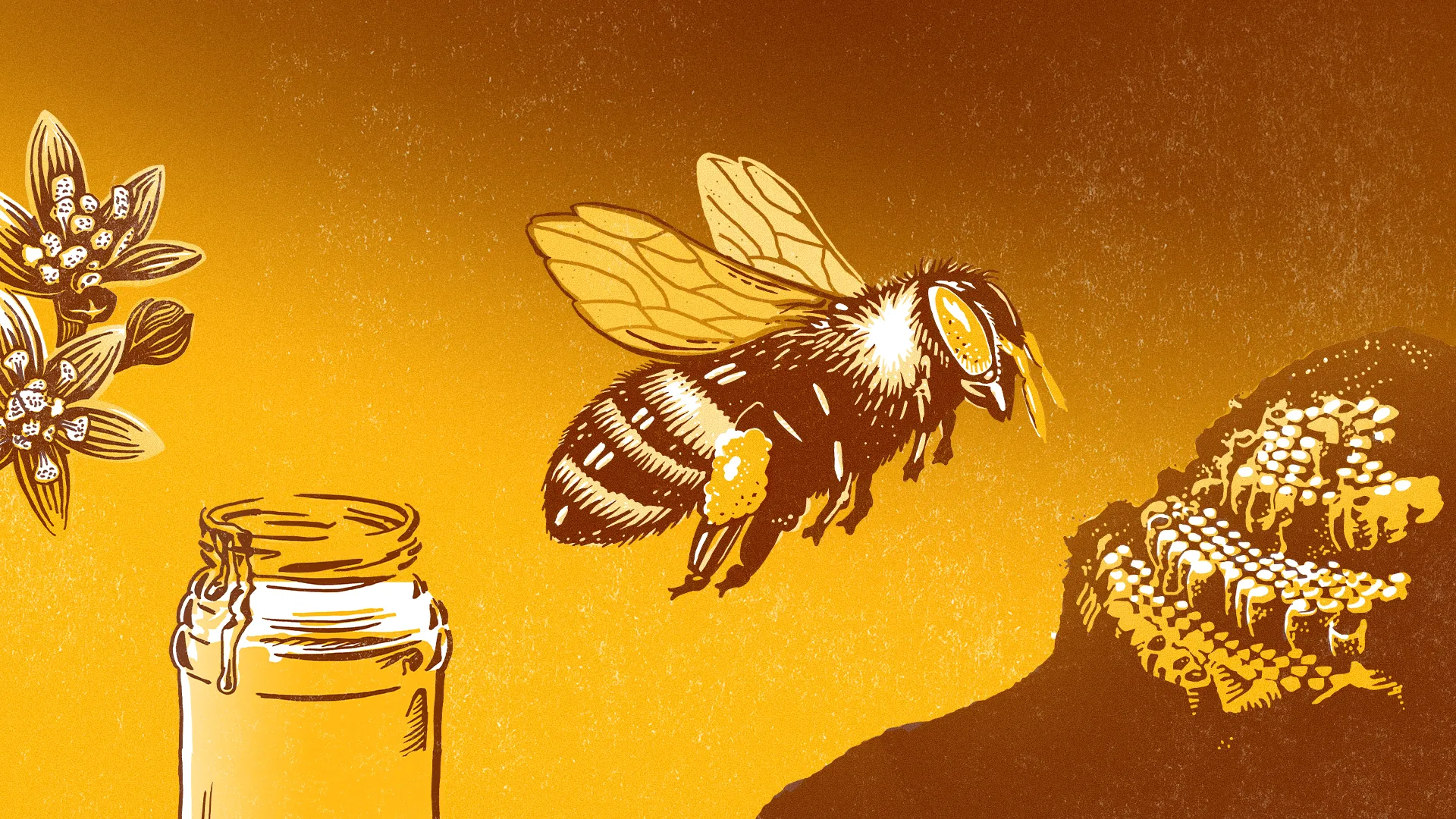 Die Wildbiene Melipona Beecheii Die Wildbiene Melipona Beecheii
