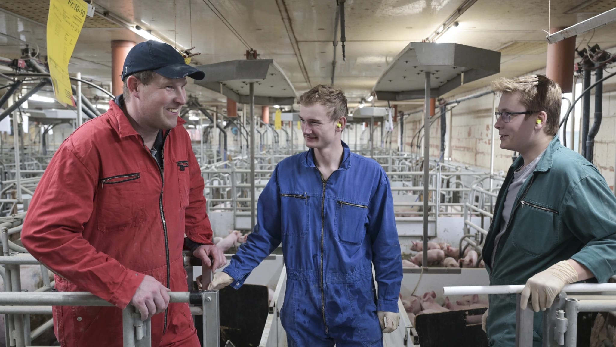 Schweinehaltung im Wandel: Gute Jobs und neue Energie