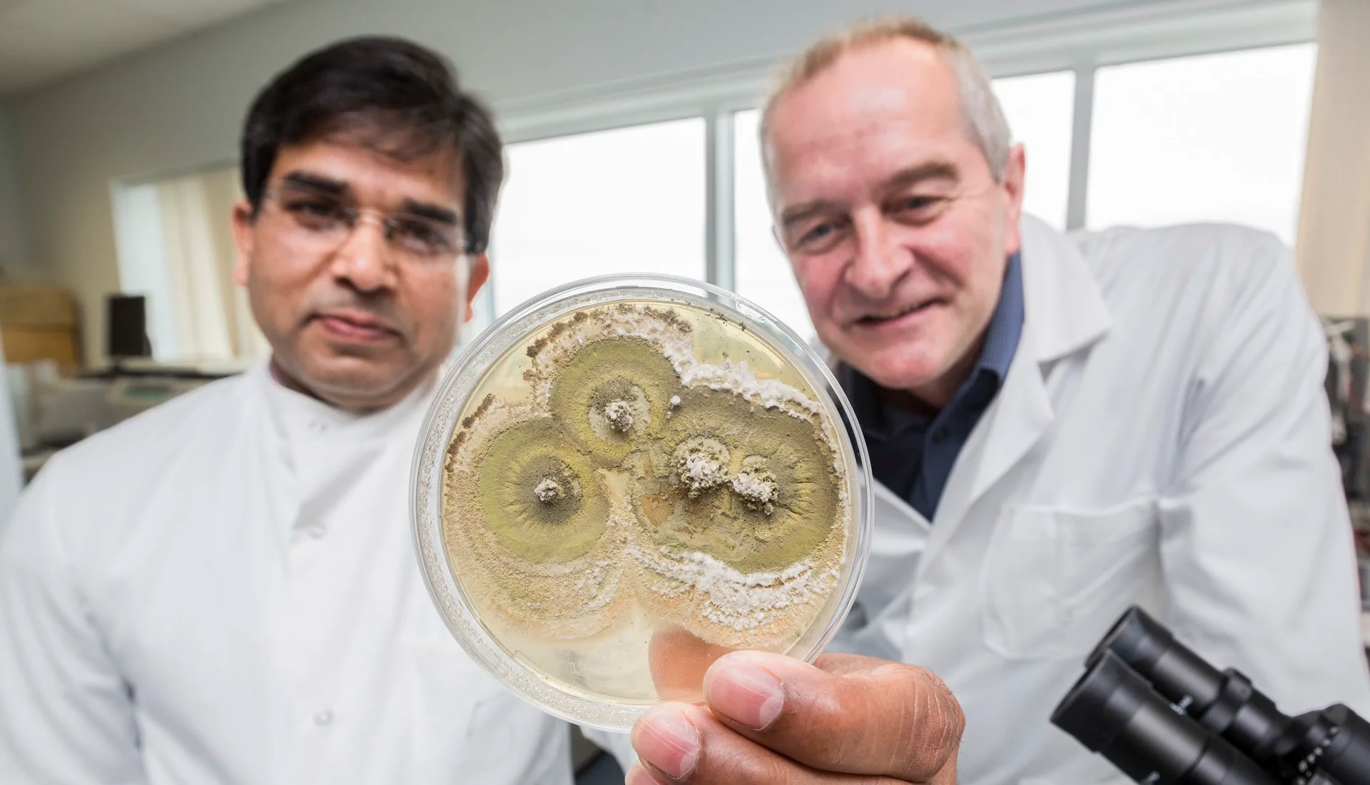 La protection des cultures au-delà de la chimie