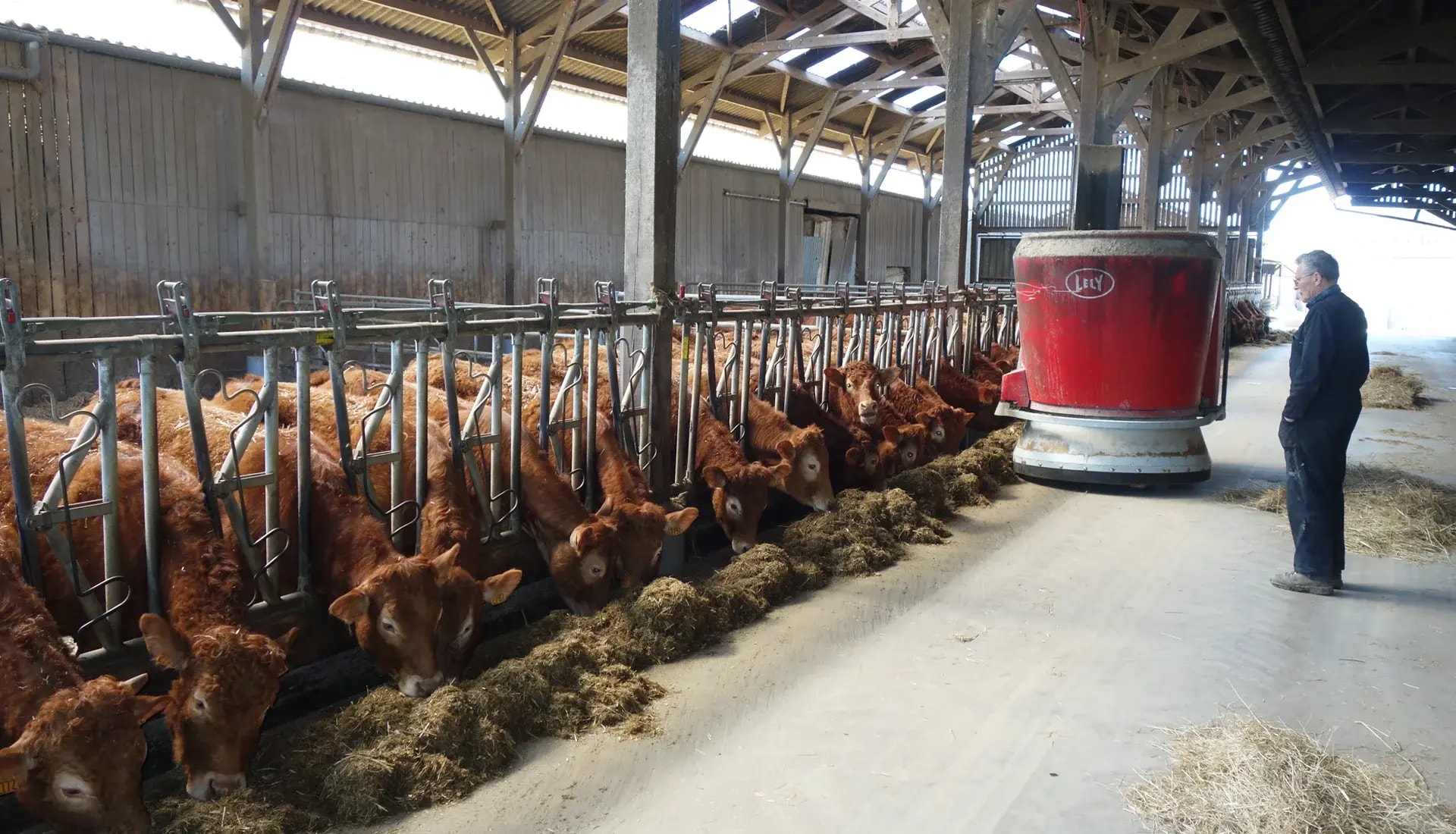 Le robot d’alimentation, un vecteur de précision en élevage bovins-viande