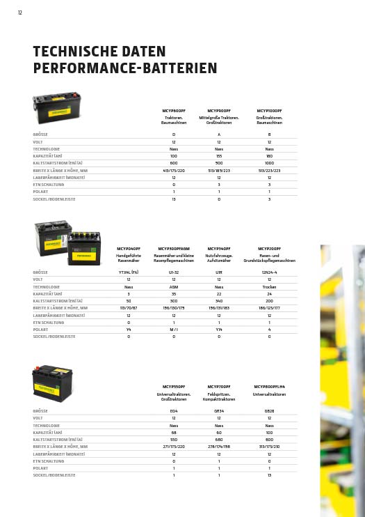 Technische Daten Performance-Batterien