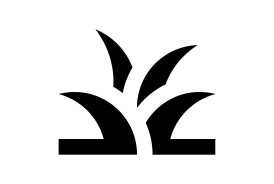 Zunahme von Rasenkrankheiten